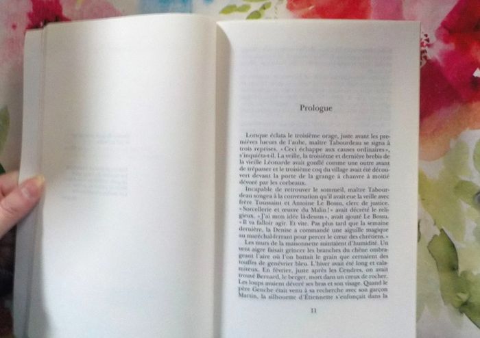 Les Dames de Brières de Catherine Hermary-Vieille Ed. Albin Michel - photo numéro 6