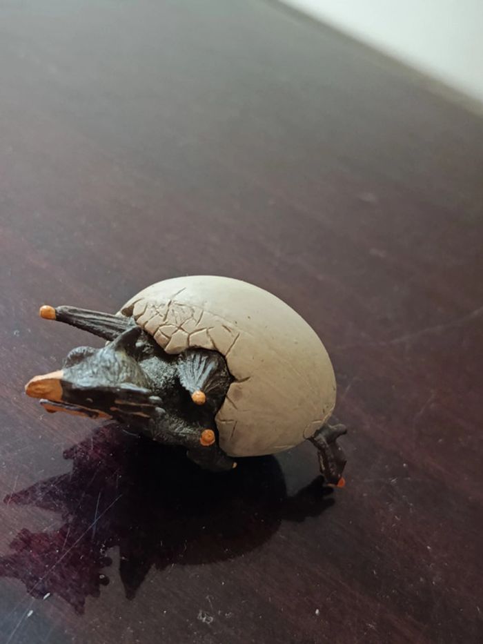 Bébé dragon qui sort de l'oeuf - photo numéro 2