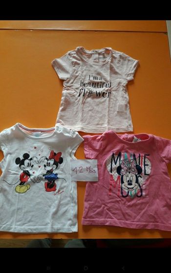 Lot 3 tee-shirts manches courtes fille 12mois