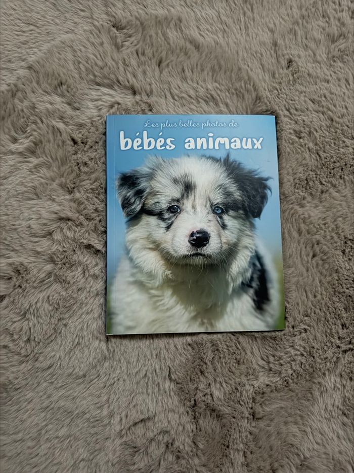 Livre les plus belle photos des bébés animaux