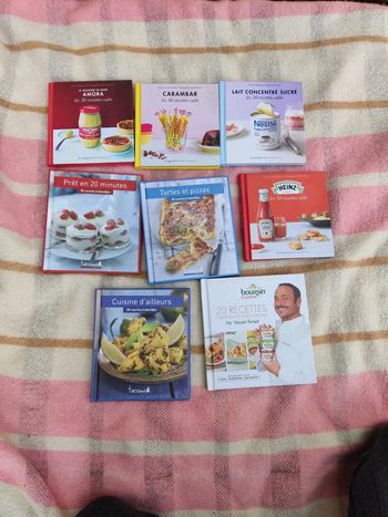 Lot minis livres cuisine