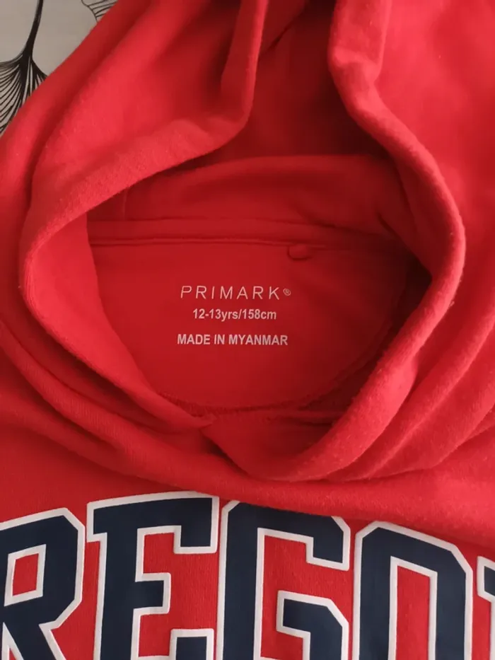 Sweat garçon à capuche primark - photo numéro 2