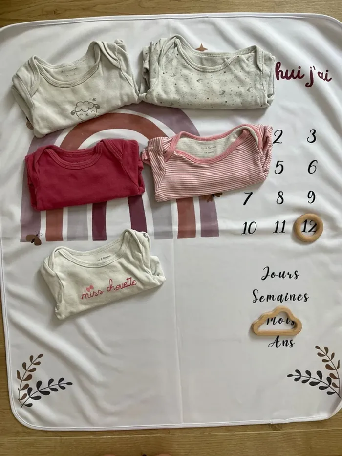 Lot de 5 bodys manches longues – Pat et Ripaton – Taille 12 mois