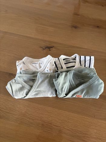 Bodies