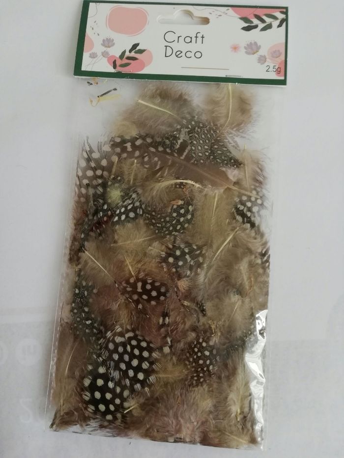 Plumes pour déco