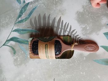 Brosse biodégradable