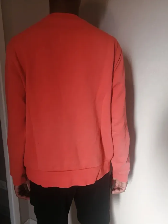Pull Lacoste coloris pêche taille 5 L - photo numéro 3