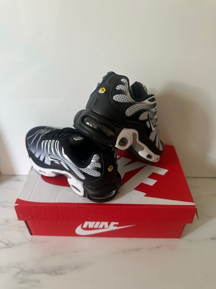 Tn grise - photo numéro 2