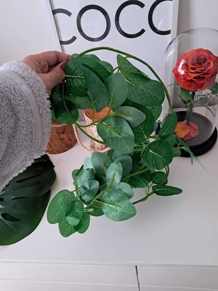 Décoration - photo numéro 4