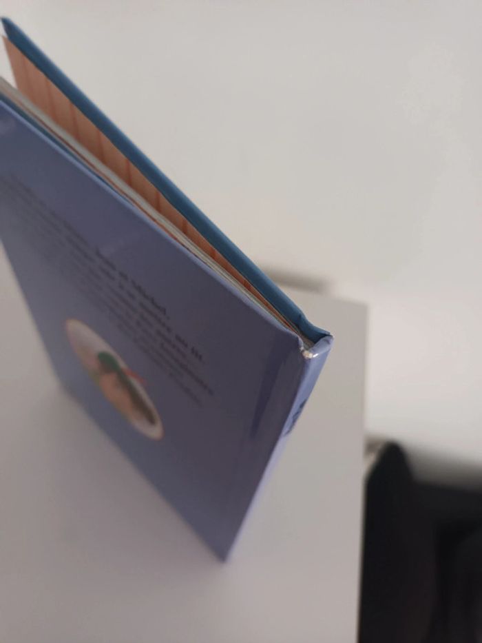 Livre peter pan - photo numéro 4