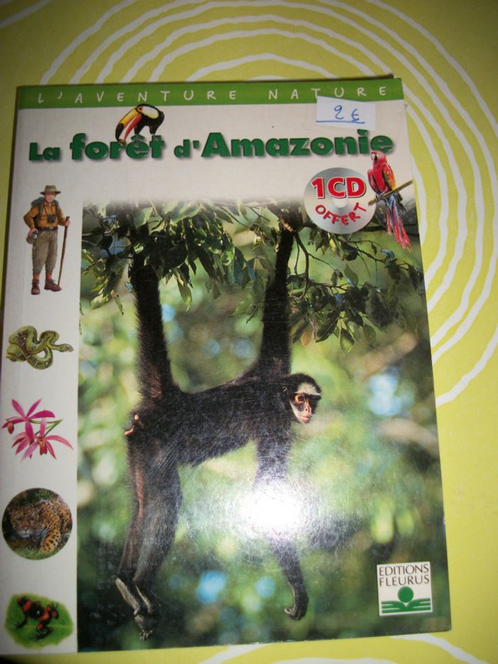 la forêt d'amazonie livre jeunesse