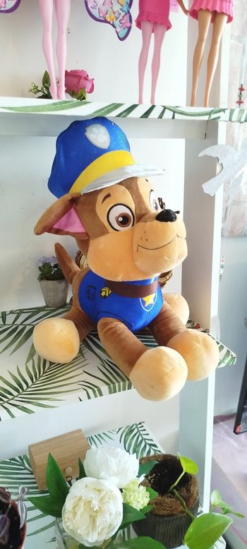 Peluche paw patrol geante🌿