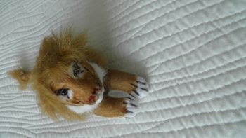 Peluche lion