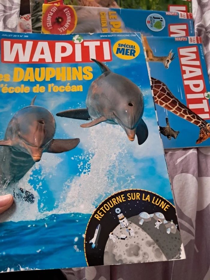 Lot 12 magazines wapiti - photo numéro 4