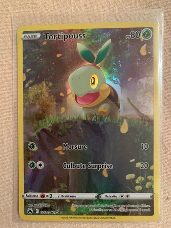 Carte Pokémon