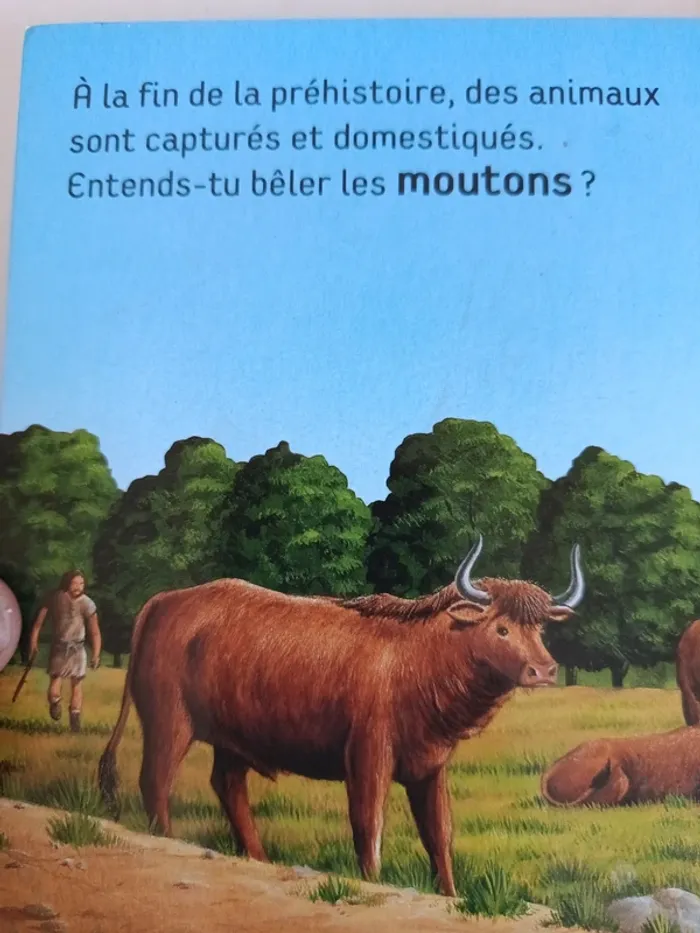 Livre sonore écoute les bruits de la préhistoire - photo numéro 10