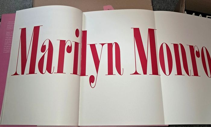 Une nuit avec Marilyn - photo numéro 3
