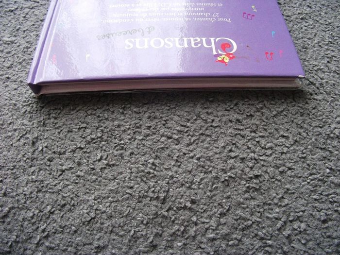 Livre chansons et berceuses + CD - photo numéro 3