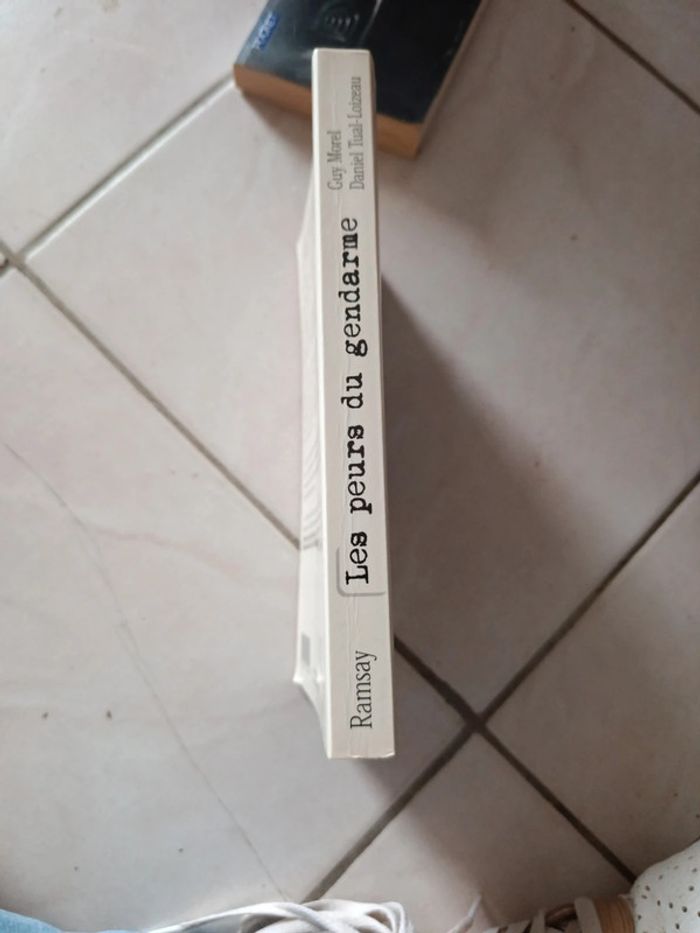 Livre Les peurs du gendarme - photo numéro 3