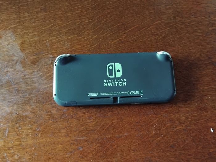 Switch lite