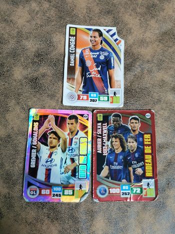 Panini cartes à collectionner Adrenalyn