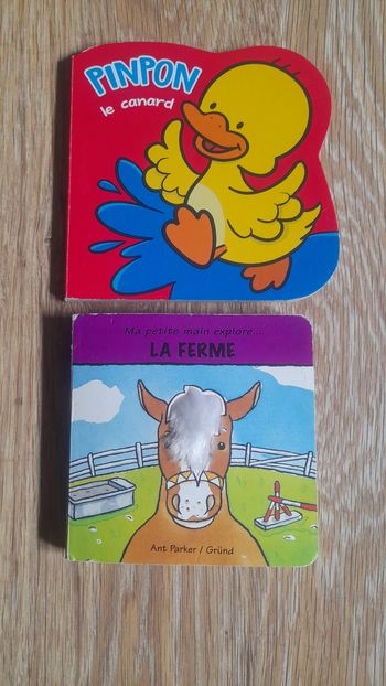 Lot de 2 livres pour bébé 