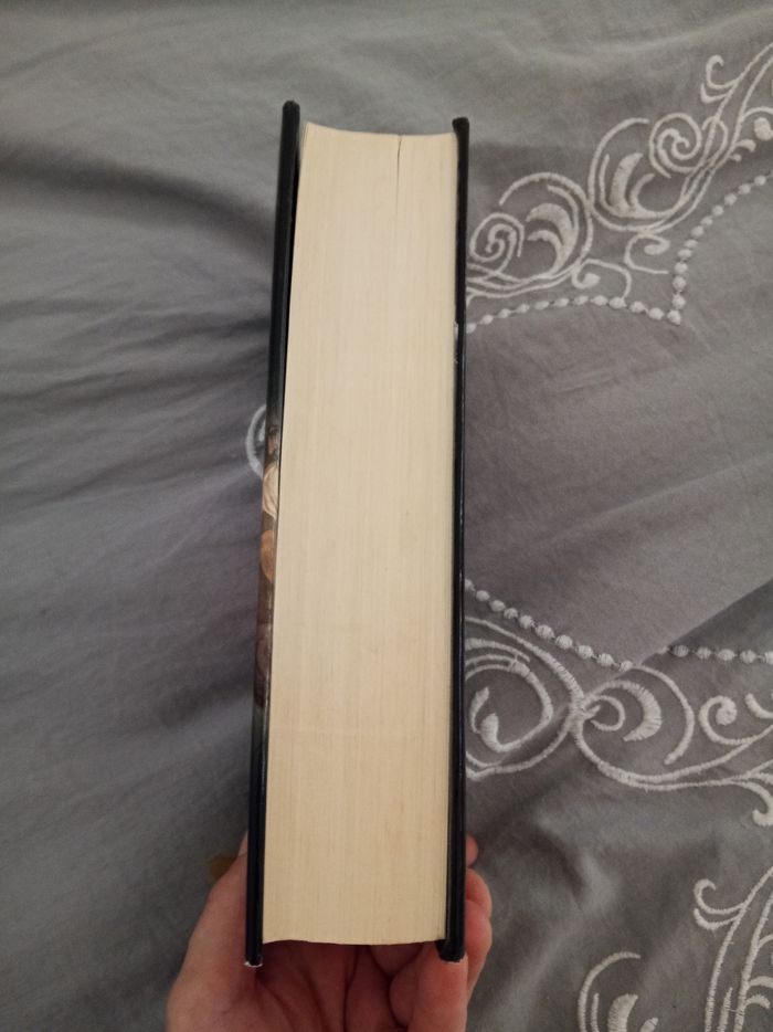Livre (15) 📚 Anges & Demons - photo numéro 4
