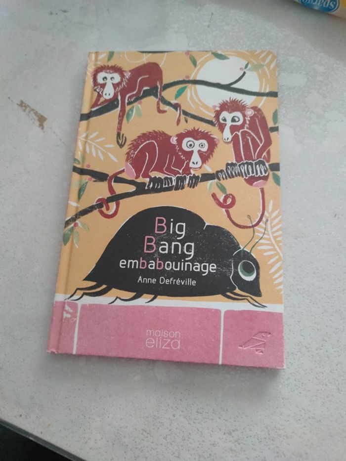 Album Big bang embabouinage