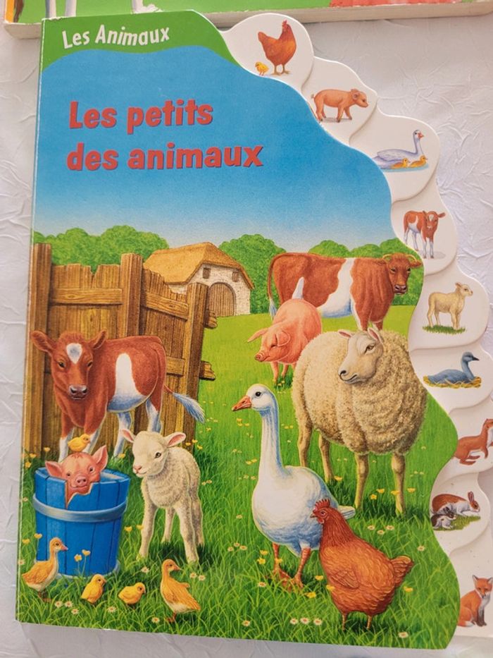 Livres - photo numéro 3