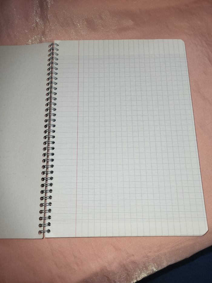 Grand cahier grand carreaux CONQUERANT 180 PAGES - photo numéro 4