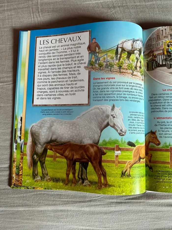 Livre les animaux de la ferme - photo numéro 5