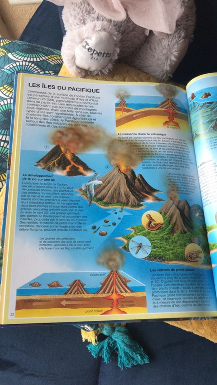 L Atlas des océans - photo numéro 4