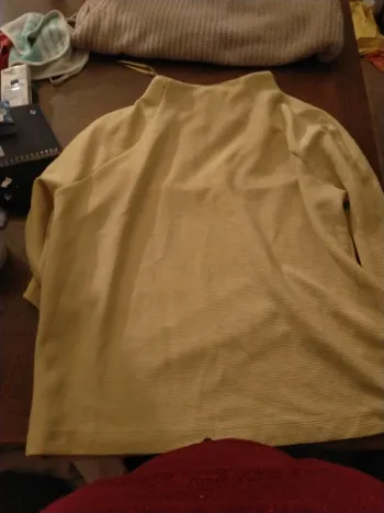 Pull ou t-shirt épais