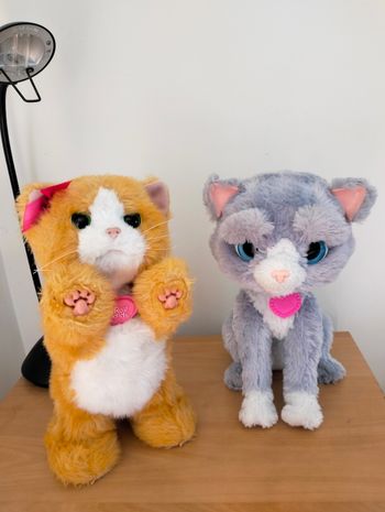 Daisy & Bootsie