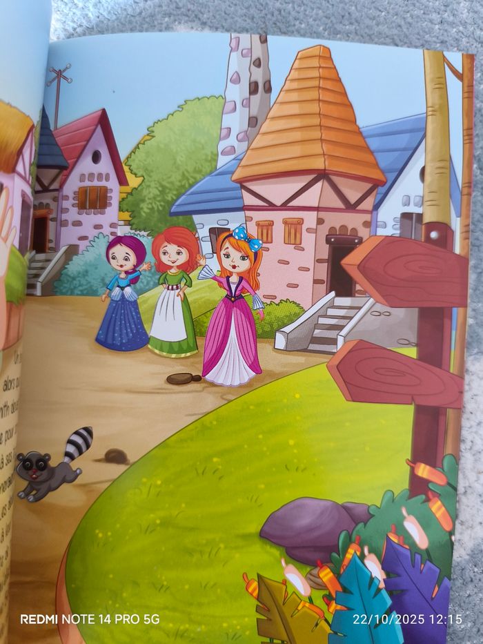 La belle et la bête livre en fan - photo numéro 3