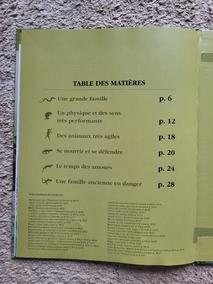 Livre documentaire enfant Une grande famille de reptiles, les lézards Atlas Junior des Animaux - photo numéro 11
