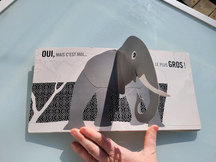 Superbe livre 🐊 Pop-up zoo 🦓 Seuil Jeunesse (68) - photo numéro 6