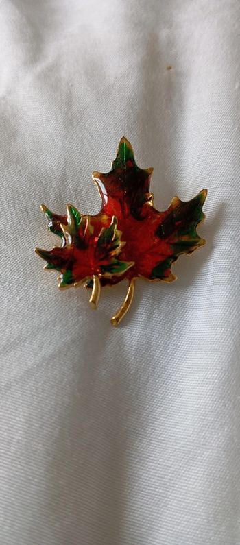 Jolie broche feuille