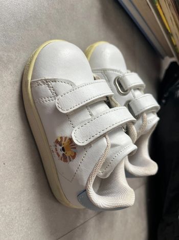 Baskets à scratch’s lion