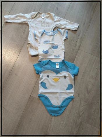 Lot de 4 bodies 6 mois