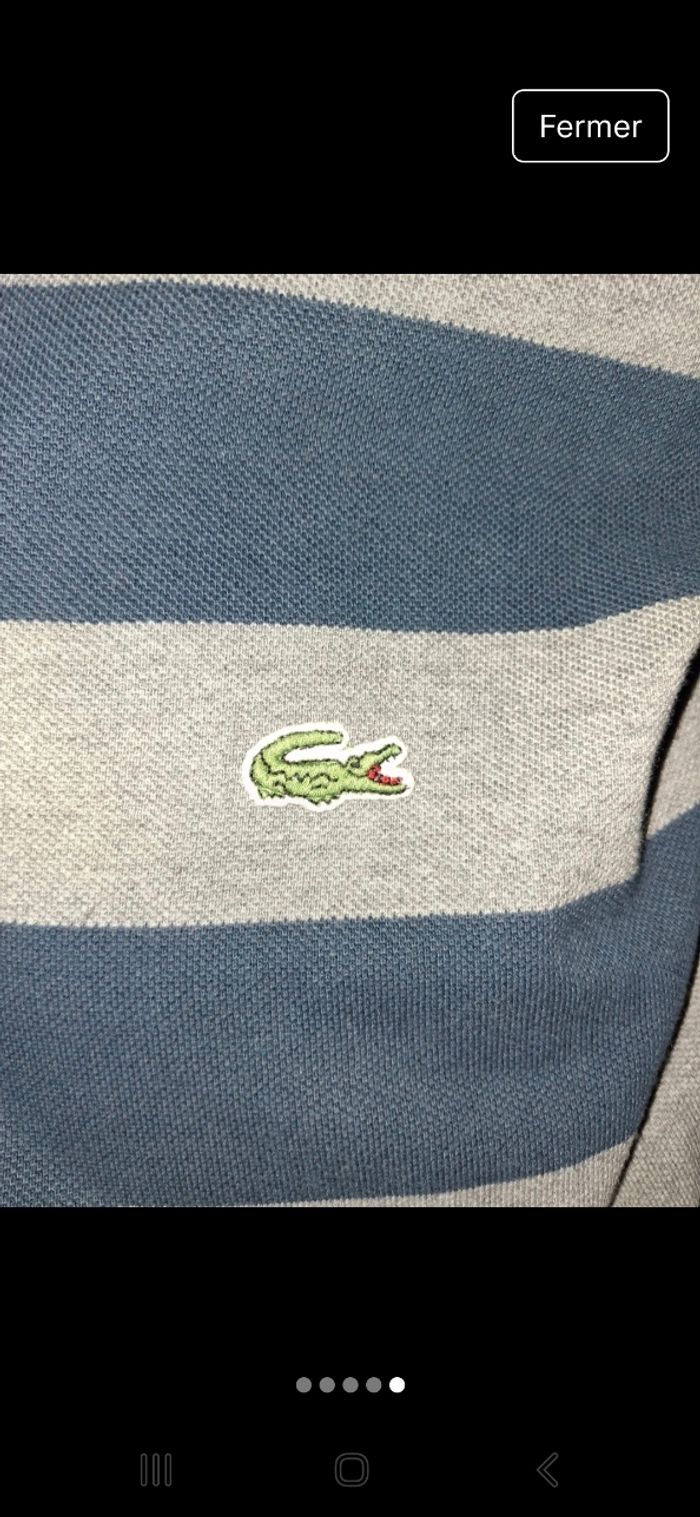 Polo lacoste - photo numéro 2