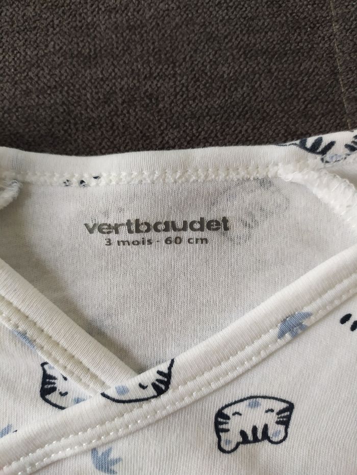 Body - photo numéro 4