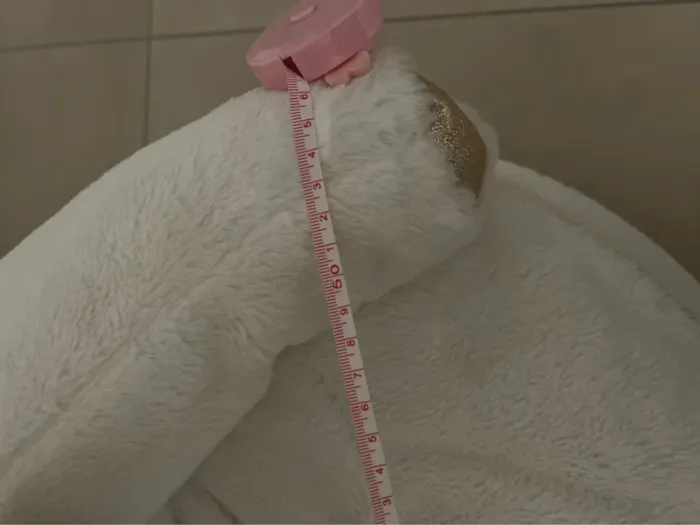 Poltroncina unicorno - photo numéro 2