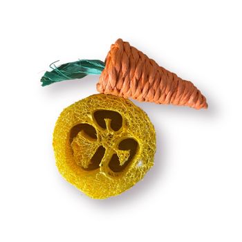Lot de 2 jouets à mâcher pour rongeur