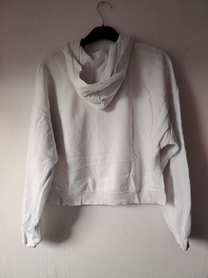 Pull roi lion - photo numéro 5