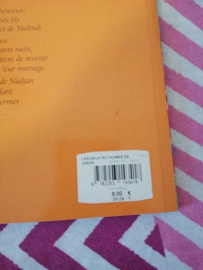 Les deux royaumes de Nilandar - photo numéro 3