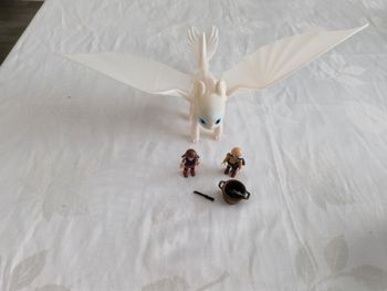 Playmobil furie éclair 