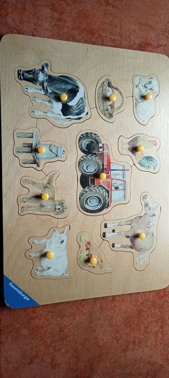 Puzzle encastrement Ravensburger