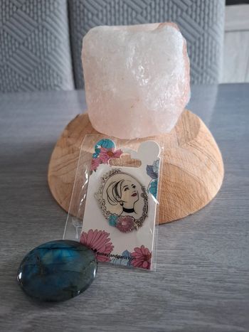 Pin broche cendrillon disneyland paris