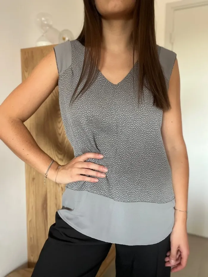 Blouse manches courtes grise Scarlet Roos - photo numéro 3